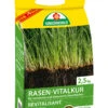 Rasen-Vitalkur (2,5 Kg) | Rasendünger Von ASB Greenworld 2 Rasen-Vitalkur (2,5 Kg) | Rasendünger Von ASB Greenworld -Geschäft Für Pflanzensamenbedarf 550436 Rasen Vitalkur 2 5 kg 313754 asb 0