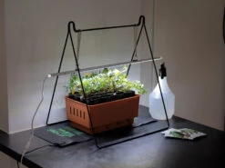 Heizmatte (53 X 22 Cm) | Heizmatte &amp; Heizkabel Von Nelson Garden -Geschäft Für Pflanzensamenbedarf 551482 Heizmatte 53 x 22 cm 5560A ng 2