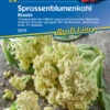 Sprossenblumenkohl Blumini F1 | Blumenkohlsamen Von Kiepenkerl -Geschäft Für Pflanzensamenbedarf 551524 Sprossenblumenkohl Blumini F1 2910 0