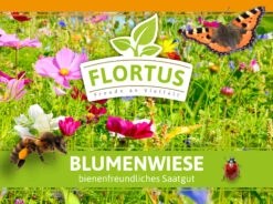 Blumenwiese (1/2 L Doypack) | Blumenwiese Von FLORTUS 11 Blumenwiese (1/2 L Doypack) | Blumenwiese Von FLORTUS -Geschäft Für Pflanzensamenbedarf 551641 Blumenwiese 1 2 Liter Doypack 2000 0186 1