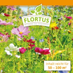 Blumenwiese (1/2 L Doypack) | Blumenwiese Von FLORTUS 13 Blumenwiese (1/2 L Doypack) | Blumenwiese Von FLORTUS -Geschäft Für Pflanzensamenbedarf 551641 Blumenwiese 1 2 Liter Doypack 2000 0186 3