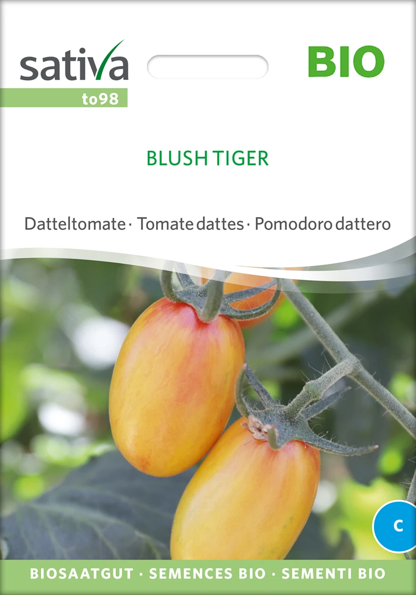 Datteltomate Blush Tiger | BIO Stabtomatensamen Von Sativa Rheinau 4 Datteltomate Blush Tiger | BIO Stabtomatensamen Von Sativa Rheinau – Bild 2
