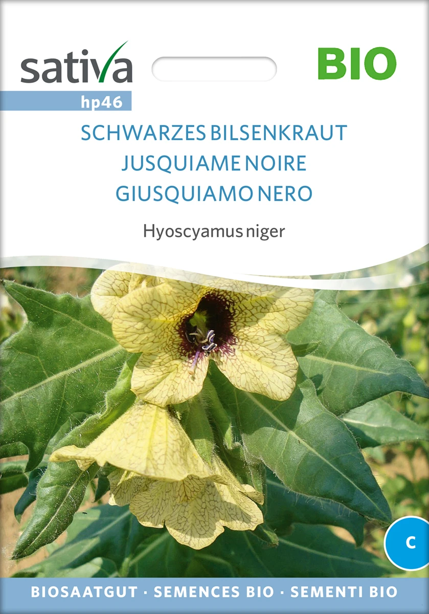 Schwarzes Bilsenkraut | BIO Heilpflanzensamen Von Sativa Rheinau 4 Schwarzes Bilsenkraut | BIO Heilpflanzensamen Von Sativa Rheinau – Bild 2