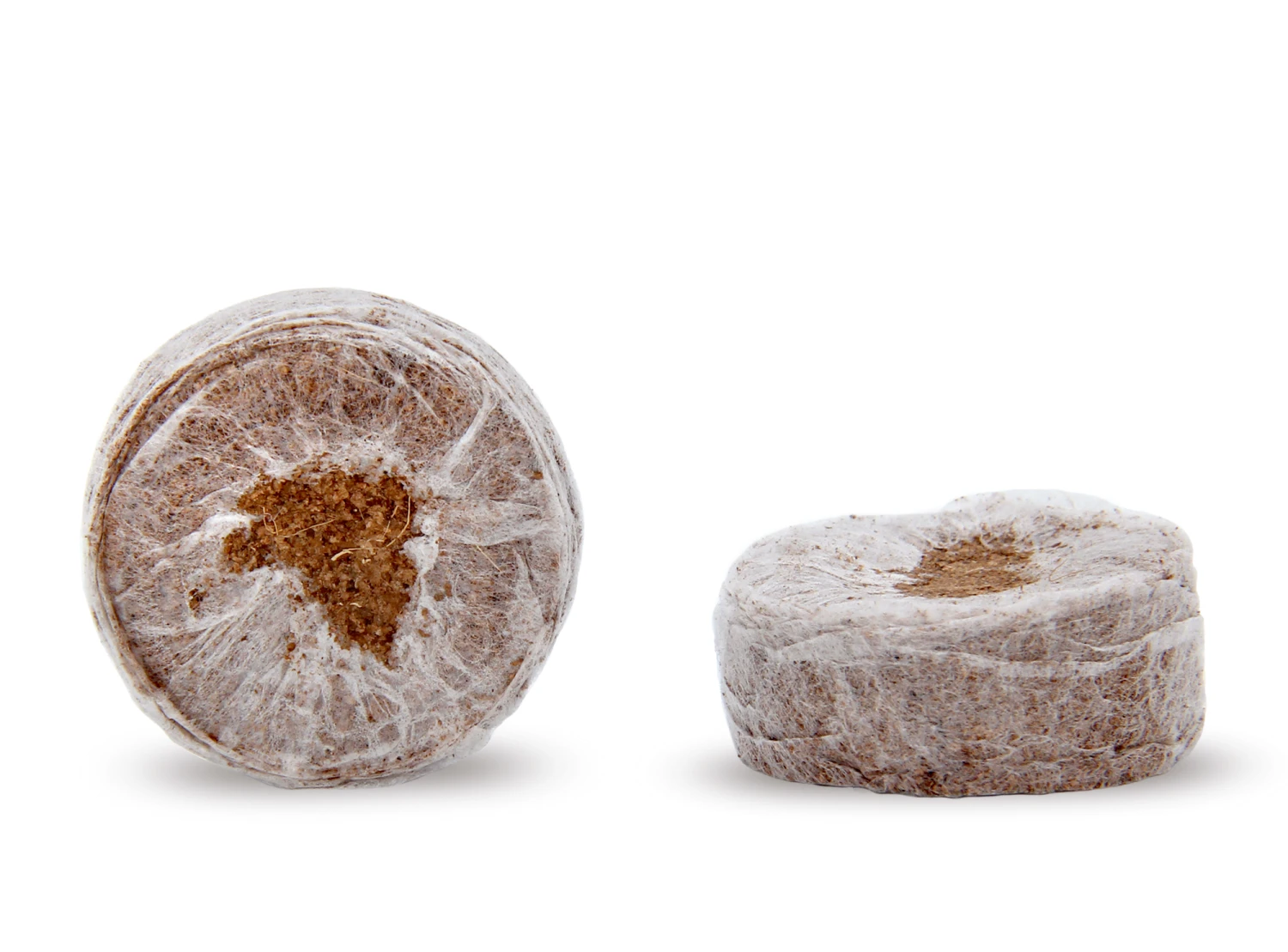 Kokos Quelltöpfe (1155 Stück) | BIO Kokos Quelltöpfe Von Jiffy 3 Kokos Quelltöpfe (1155 Stück) | BIO Kokos Quelltöpfe Von Jiffy