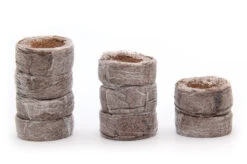 Kokos Quelltöpfe (1155 Stück) | BIO Kokos Quelltöpfe Von Jiffy 11 Kokos Quelltöpfe (1155 Stück) | BIO Kokos Quelltöpfe Von Jiffy -Geschäft Für Pflanzensamenbedarf 551968 BIO Kokos Quelltoepfe 1155 Stueck 63170030 jf 2