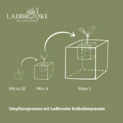 Erdballenpresse Mini 4 Soil Blocker Mit Kleinen Dübeleinsätzen | Erdtopfpressen Von Ladbrooke Soil Blockers 10 Erdballenpresse Mini 4 Soil Blocker Mit Kleinen Dübeleinsätzen | Erdtopfpressen Von Ladbrooke Soil Blockers -Geschäft Für Pflanzensamenbedarf 551991 Erdballenpresse Mini 4 Soil Blocker mit kleinen Duebeleinsaetzen LADMIN4 lsb 5