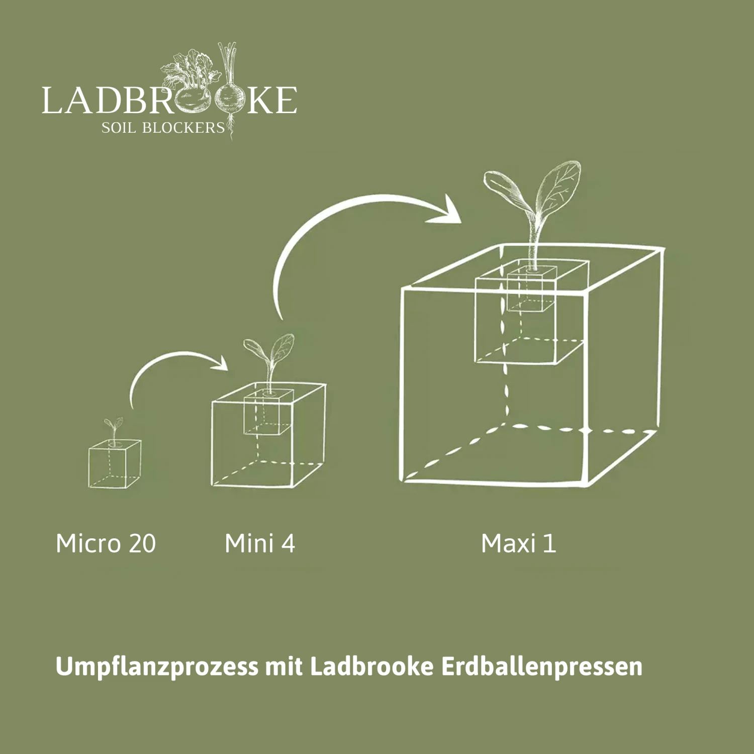 Erdballenpresse Maxi 1 Soil Blocker | Erdtopfpressen Von Ladbrooke Soil Blockers 7 Erdballenpresse Maxi 1 Soil Blocker | Erdtopfpressen Von Ladbrooke Soil Blockers – Bild 5