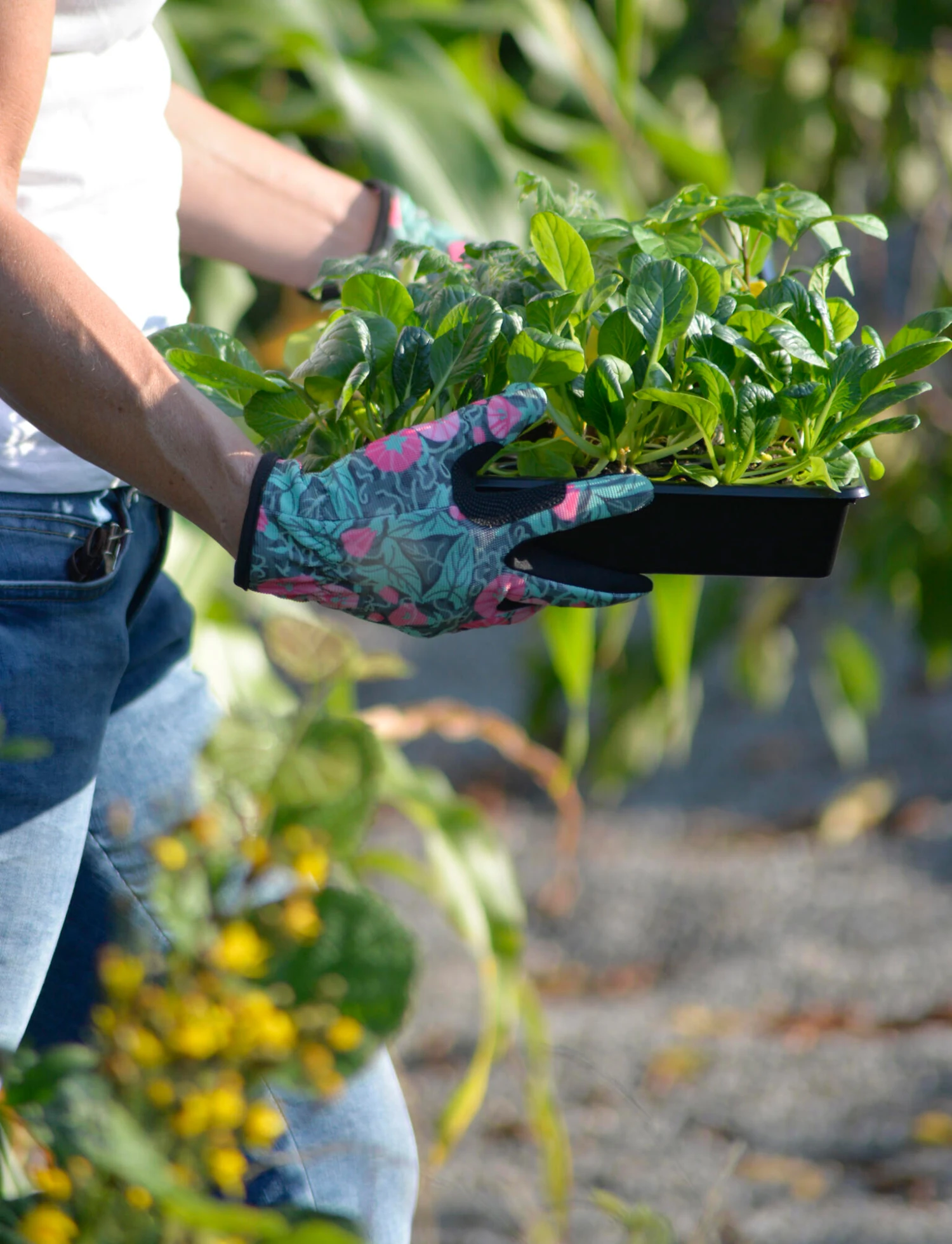 Handschuhe Convo 8 | Gartenhandschuhe Von Nelson Garden 4 Handschuhe Convo 8 | Gartenhandschuhe Von Nelson Garden – Bild 2