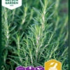 Rosmarin | Rosmarinsamen Von Nelson Garden 2 Rosmarin | Rosmarinsamen Von Nelson Garden -Geschäft Für Pflanzensamenbedarf 552207 Rosmarin 91071 ng 0