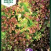 Bataviasalat Lollo Rossa | Salatsamen Von Nelson Garden 2 Bataviasalat Lollo Rossa | Salatsamen Von Nelson Garden -Geschäft Für Pflanzensamenbedarf 552212 Bataviasalat Lollo Rossa 91225 ng 0
