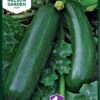 Zucchini Diamant F1 | Zucchinisamen Von Nelson Garden 1 Zucchini Diamant F1 | Zucchinisamen Von Nelson Garden -Geschäft Für Pflanzensamenbedarf 552217 Zucchini Diamant F1 91445 ng 0