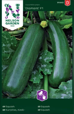 Zucchini Diamant F1 | Zucchinisamen Von Nelson Garden