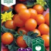 Kirschtomate Sungold F1 | Kirschtomatensamen Von Nelson Garden