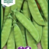 Zuckererbsen Oregon Sugar Pod | Zuckererbsensamen Von Nelson Garden 1 Zuckererbsen Oregon Sugar Pod | Zuckererbsensamen Von Nelson Garden -Geschäft Für Pflanzensamenbedarf 552230 Zuckererbsen Oregon Sugar Pod 91844 ng 0