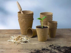 8 Cm Anzuchttopf Rund Auf Holzfaser Basis | Anzuchttöpfe Von FLORTUS -Geschäft Für Pflanzensamenbedarf 552303 8 cm Anzuchttopf rund auf Holzfaser Basis 30 Stueck 2000 0595 5