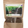 Futter Rüben Brigadier (250 G) | Runkelrüben- &amp; Futterrübensamen Von Buzzy Seeds -Geschäft Für Pflanzensamenbedarf 552560 Futter Rueben Brigadier 250 g 881503 by 0