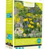 Friendly Flowers XL Tübinger Bienen Mischung (50 M²) | Bienenwiese Von Buzzy Seeds 2 Friendly Flowers XL Tübinger Bienen Mischung (50 M²) | Bienenwiese Von Buzzy Seeds -Geschäft Für Pflanzensamenbedarf 552596 Friendly Flowers XL Tuebinger Bienen Mischung 50 m 85097 by 0