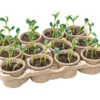 Eco Topfplatte (12 Töpfe) | Anzuchtschalen Von Sogo 2 Eco Topfplatte (12 Töpfe) | Anzuchtschalen Von Sogo -Geschäft Für Pflanzensamenbedarf 552597 Eco Topfplatte 12 Toepfe 887353 sg 0