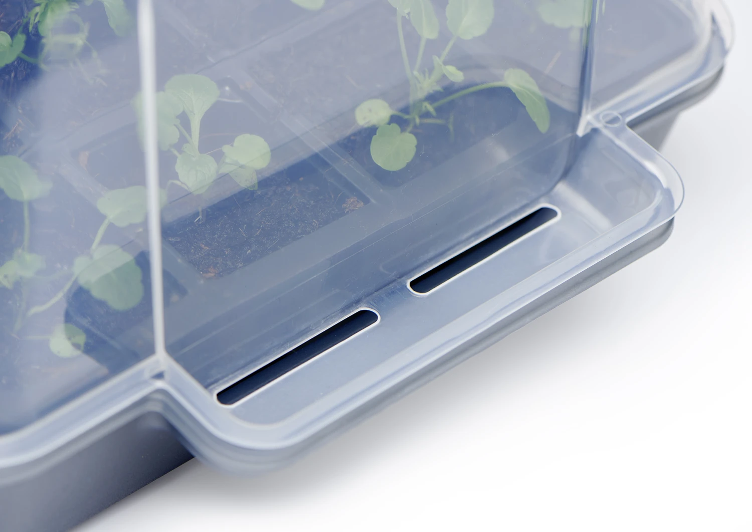 Anzucht-Gewächshaus Easy Water Haube | Anzuchthauben Von Clever Pots 5 Anzucht-Gewächshaus Easy Water Haube | Anzuchthauben Von Clever Pots – Bild 3