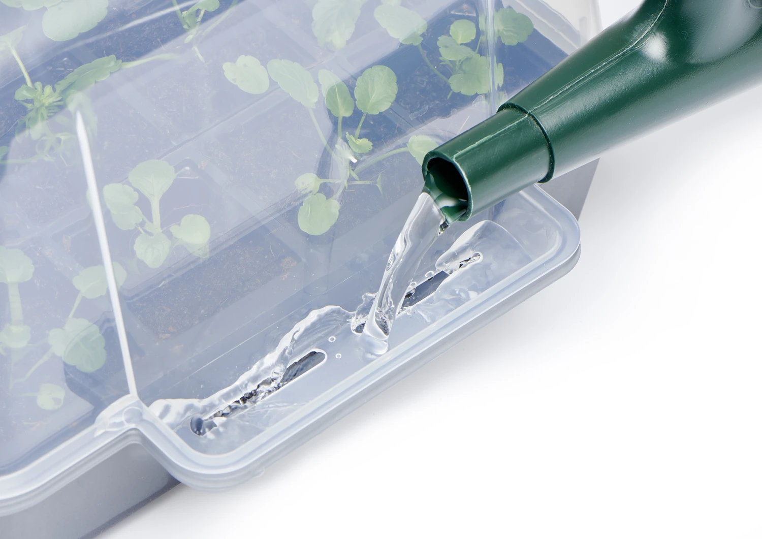 Anzucht-Gewächshaus Easy Water Haube | Anzuchthauben Von Clever Pots 8 Anzucht-Gewächshaus Easy Water Haube | Anzuchthauben Von Clever Pots – Bild 6