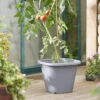Tomatentopf Anthrazit | Tomatentöpfe Von Clever Pots 2 Tomatentopf Anthrazit | Tomatentöpfe Von Clever Pots -Geschäft Für Pflanzensamenbedarf 553525 Tomatentopf Anthrazit 1 Stueck 461500 kp 4