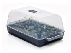 Anzucht-Gewächshaus Easy Water | Zimmergewächshaus Von Clever Pots -Geschäft Für Pflanzensamenbedarf 553911 Gewaechshaus Easy Water 050 0017 0