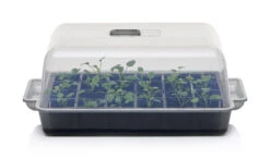 Anzucht-Gewächshaus Easy Water | Zimmergewächshaus Von Clever Pots -Geschäft Für Pflanzensamenbedarf 553911 Gewaechshaus Easy Water 050 0017 1