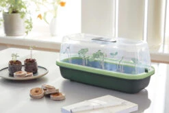 BoQube Anzuchthaube S Moosgrün-schilfgrün | Zimmergewächshäuser Von Romberg -Geschäft Für Pflanzensamenbedarf 555847 BoQube Anzuchthaube S moosgruen schilfgruen 16294158 1