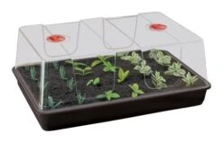 58 X 40,5 X 22,5 Cm Zimmergewächshaus High Dome XL Schwarz Mit Verstellbarer Luftzirkulation | Anzuchtzubehör Von Garland 7 58 X 40,5 X 22,5 Cm Zimmergewächshaus High Dome XL Schwarz Mit Verstellbarer Luftzirkulation | Anzuchtzubehör Von Garland -Geschäft Für Pflanzensamenbedarf 558793 58 x 40 5 x 22 5 cm Zimmergewaechshaus High Dome XL schwarz mit verstellbarer Luftzirkulation G155B gl 0