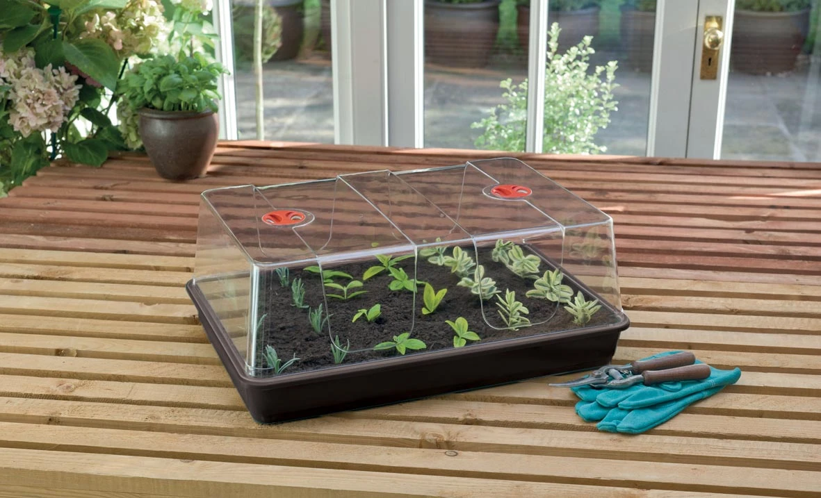 58 X 40,5 X 22,5 Cm Zimmergewächshaus High Dome XL Schwarz Mit Verstellbarer Luftzirkulation | Anzuchtzubehör Von Garland 3 58 X 40,5 X 22,5 Cm Zimmergewächshaus High Dome XL Schwarz Mit Verstellbarer Luftzirkulation | Anzuchtzubehör Von Garland