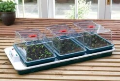 80,5 X 41 X 20 Cm Elektrisches Zimmergewächshaus Big 3 (3 Stück) | Zimmergewächshaus Von Garland 7 80,5 X 41 X 20 Cm Elektrisches Zimmergewächshaus Big 3 (3 Stück) | Zimmergewächshaus Von Garland -Geschäft Für Pflanzensamenbedarf 558839 80 5 x 41 x 20 cm Elektrisches Zimmergewaechshaus Big 3 3 Stueck mit EU Stecker G78EU gl 2