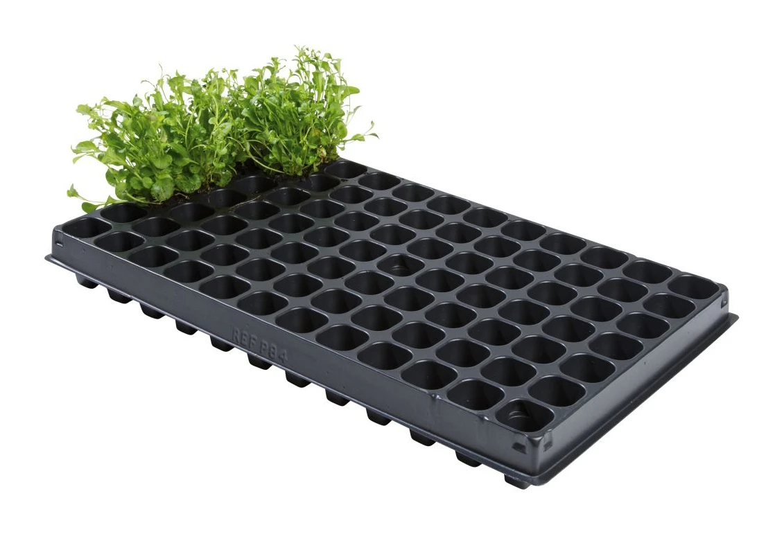 53 X 31 X 5,5 Cm Anzuchtschale Mit 84 Töpfe (2 Stück) | Anzuchtschalen Von Garland 4 53 X 31 X 5,5 Cm Anzuchtschale Mit 84 Töpfe (2 Stück) | Anzuchtschalen Von Garland – Bild 2