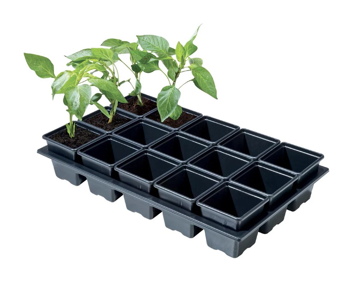 38 X 23,5 X 7,5 Cm Professionelles Anzucht-Komplettset Klein | Anzucht-Komplettset Von Garland 3 38 X 23,5 X 7,5 Cm Professionelles Anzucht-Komplettset Klein | Anzucht-Komplettset Von Garland