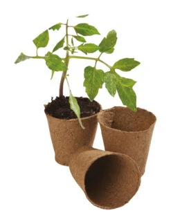 6 Cm Runde Fasertöpfe | Anzuchttöpfe Von Garland