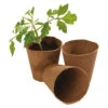 8 Cm Runde Fasertöpfe | Anzuchttöpfe Von Garland -Geschäft Für Pflanzensamenbedarf 558864 8 cm Runde Fasertoepfe W0284 gl 1