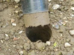 88 X 30,5 X 7,5 Cm Langstieliger Blumenzwiebel Pflanzer | Gartenzubehör Von Garland 17 88 X 30,5 X 7,5 Cm Langstieliger Blumenzwiebel Pflanzer | Gartenzubehör Von Garland -Geschäft Für Pflanzensamenbedarf 558876 88 x 30 5 x 7 5 cm Langstieliger Blumenzwiebel Pflanzer W0475 gl 7