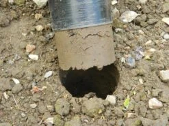 88 X 30,5 X 7,5 Cm Langstieliger Blumenzwiebel Pflanzer | Gartenzubehör Von Garland 14 88 X 30,5 X 7,5 Cm Langstieliger Blumenzwiebel Pflanzer | Gartenzubehör Von Garland -Geschäft Für Pflanzensamenbedarf 558876 88 x 30 5 x 7 5 cm Langstieliger Blumenzwiebel Pflanzer W0475 gl 8