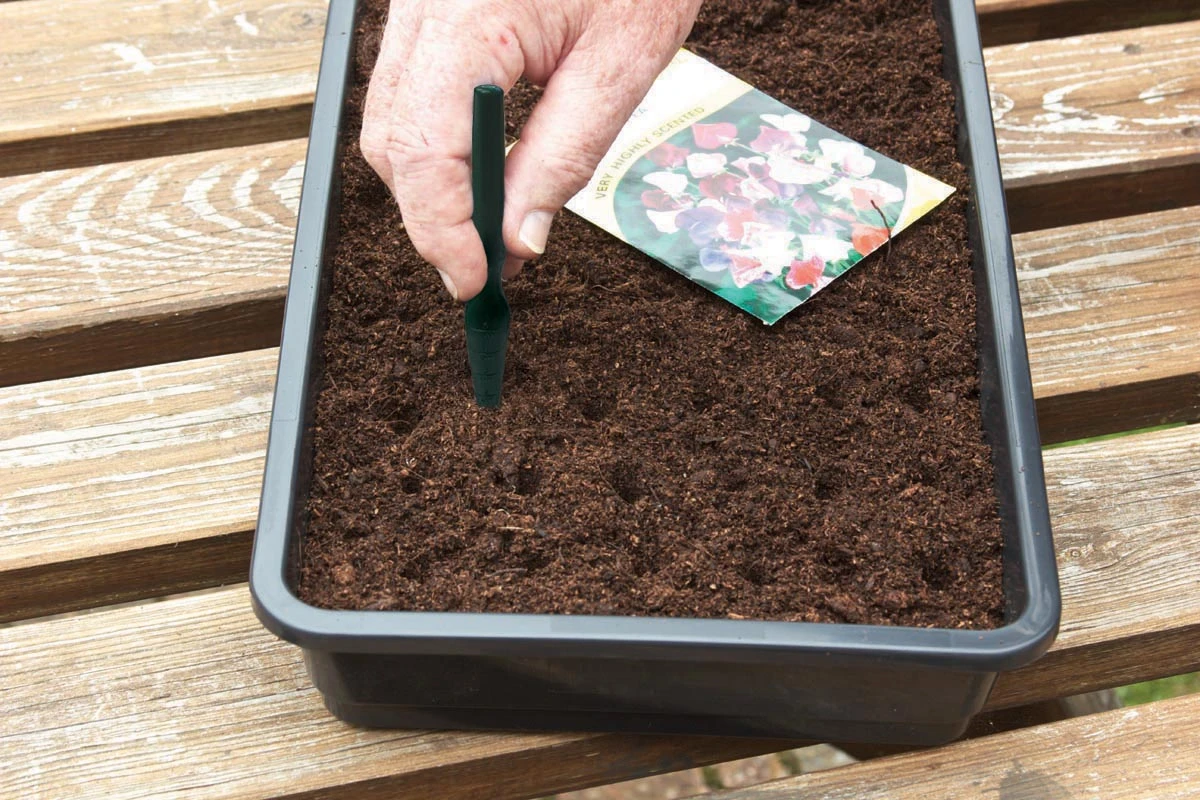24 X 10 Cm Samen- Und Pflanzstäbchen (2 Stück) | Gartenzubehör Von Garland 3 24 X 10 Cm Samen- Und Pflanzstäbchen (2 Stück) | Gartenzubehör Von Garland