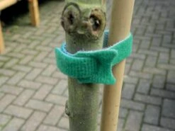 15 Cm Pflanzenbefestigung (10 Stück) | Gartenzubehör Von Garland -Geschäft Für Pflanzensamenbedarf 558881 15 cm Pflanzenbefestigung 10 Stueck W0894 gl 1