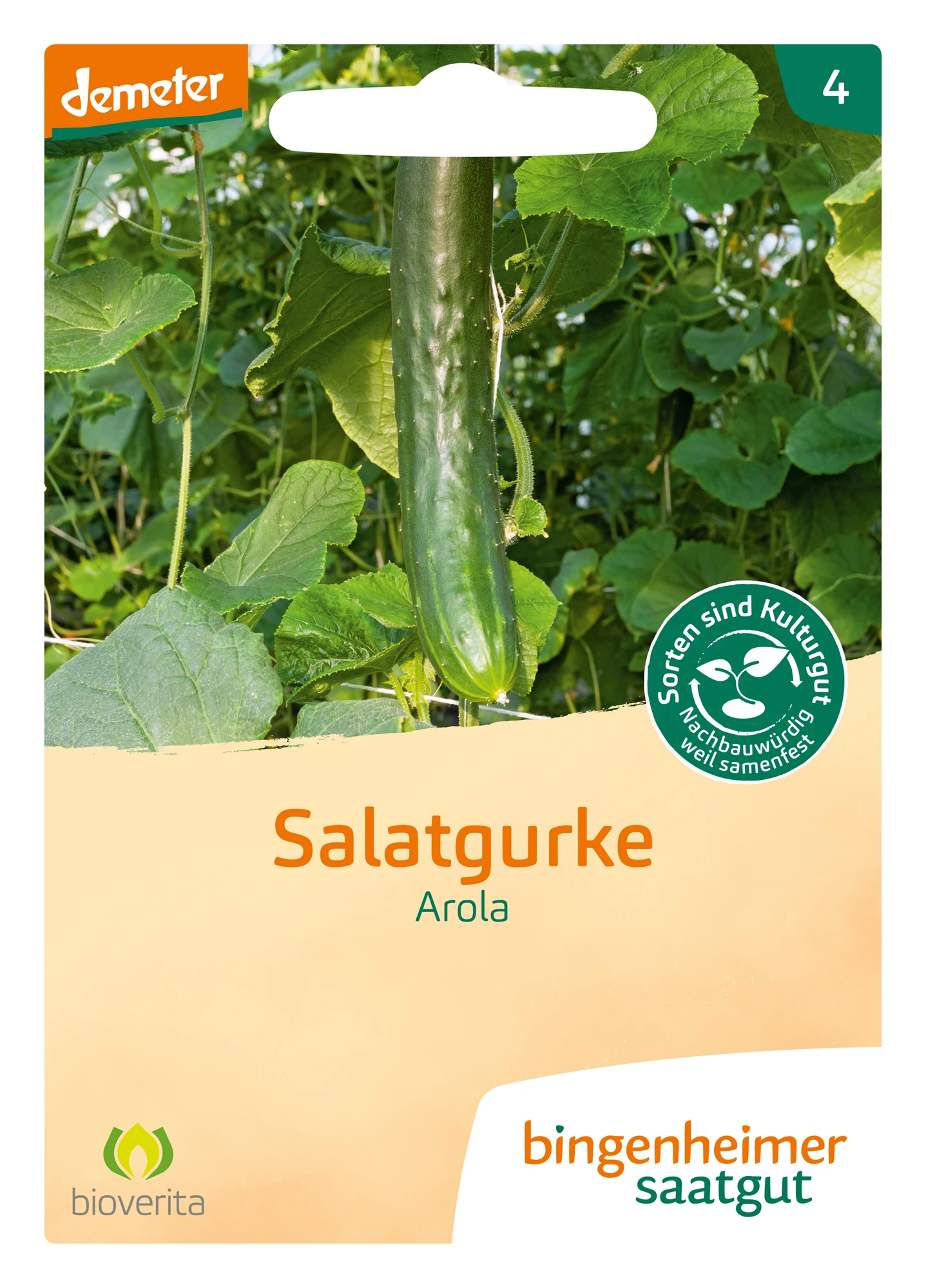 Salatgurke Arola | BIO Salatgurkensamen Von Bingenheimer Saatgut 4 Salatgurke Arola | BIO Salatgurkensamen Von Bingenheimer Saatgut – Bild 2