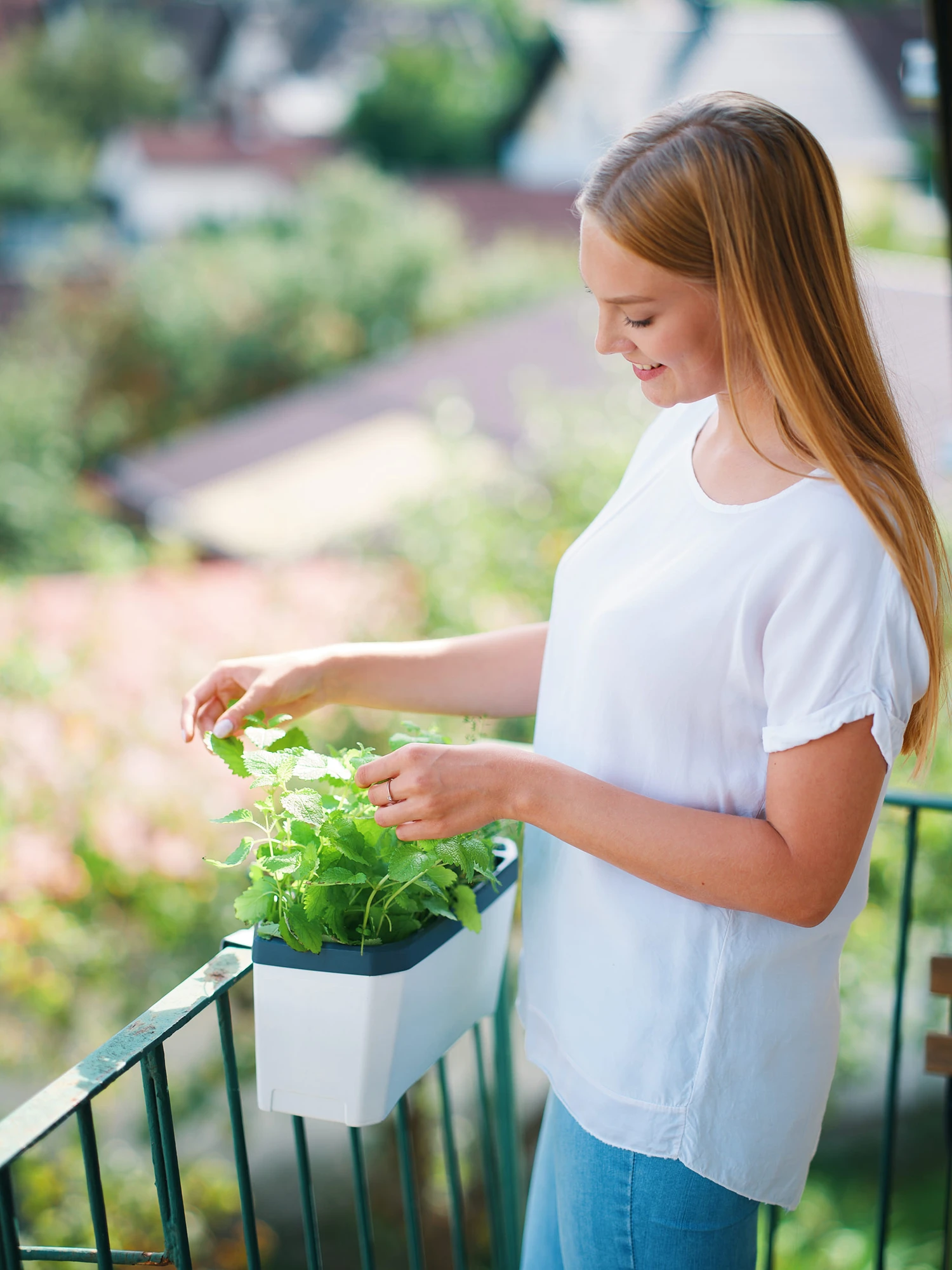 HARRY HERBS Weiß Ohne Haube | Kräutertöpfe Von Gusta Garden 3 HARRY HERBS Weiß Ohne Haube | Kräutertöpfe Von Gusta Garden