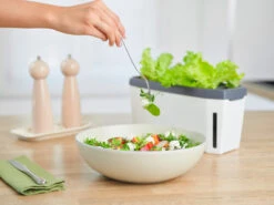 HARRY HERBS Weiß Ohne Haube | Kräutertöpfe Von Gusta Garden 18 HARRY HERBS Weiß Ohne Haube | Kräutertöpfe Von Gusta Garden -Geschäft Für Pflanzensamenbedarf 560337 HARRY HERBS weiss ohne Haube 102B20 gg 5