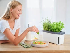 HARRY HERBS Weiß Ohne Haube | Kräutertöpfe Von Gusta Garden 17 HARRY HERBS Weiß Ohne Haube | Kräutertöpfe Von Gusta Garden -Geschäft Für Pflanzensamenbedarf 560337 HARRY HERBS weiss ohne Haube 102B20 gg 8