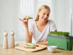 HARRY HERBS Kräutertopf Dunkelgrün | Kräutertöpfe Von Gusta Garden 12 HARRY HERBS Kräutertopf Dunkelgrün | Kräutertöpfe Von Gusta Garden -Geschäft Für Pflanzensamenbedarf 560338 HARRY HERBS dunkelgruen 103B10 gg 6