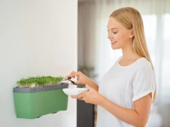 HARRY HERBS Dunkelgrün Ohne Haube | Kräutertöpfe Von Gusta Garden 14 HARRY HERBS Dunkelgrün Ohne Haube | Kräutertöpfe Von Gusta Garden -Geschäft Für Pflanzensamenbedarf 560339 HARRY HERBS dunkelgruen ohne Haube 103B20 gg 3