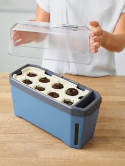 HARRY HERBS Kräutertopf Blau | Kräutertöpfe Von Gusta Garden -Geschäft Für Pflanzensamenbedarf 560340 HARRY HERBS blau 104B10 gg 1