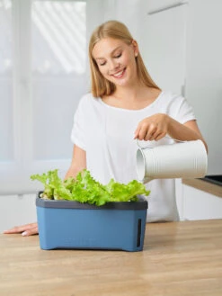 HARRY HERBS Kräutertopf Blau | Kräutertöpfe Von Gusta Garden -Geschäft Für Pflanzensamenbedarf 560340 HARRY HERBS blau 104B10 gg 2