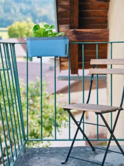 HARRY HERBS Kräutertopf Blau | Kräutertöpfe Von Gusta Garden -Geschäft Für Pflanzensamenbedarf 560340 HARRY HERBS blau 104B10 gg 7