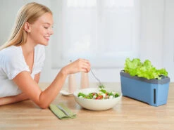 HARRY HERBS Kräutertopf Blau | Kräutertöpfe Von Gusta Garden -Geschäft Für Pflanzensamenbedarf 560340 HARRY HERBS blau 104B10 gg 8