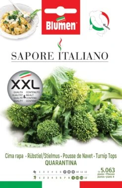 Rübstiel-Stielmus Quarantina | Stielmussamen Von BLUMEN Group